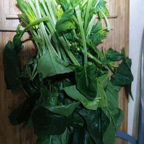 菠菜鸡蛋，是一款清爽的菜，不油腻