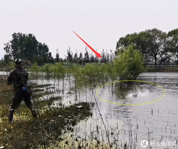 博主|山东一水库黑鱼“成灾”，老板请人帮忙钓鱼，有人2小时连钓17条