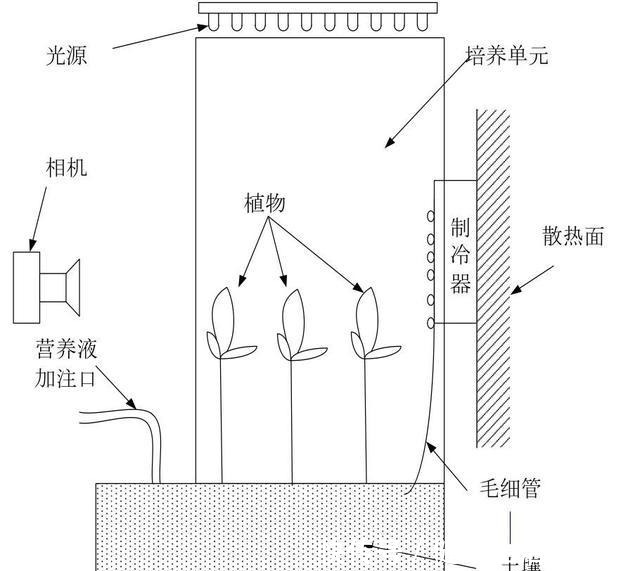 真技术活!在没有空气和水的太空如何种粮种草!