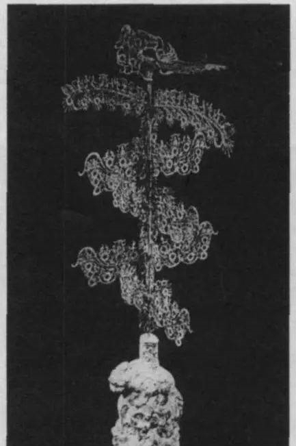 甘谷|甘谷摇钱树首次公开!