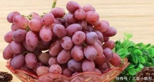 农村|农村一种水果,长得像葡萄但更甜美,在市场上大受喜欢