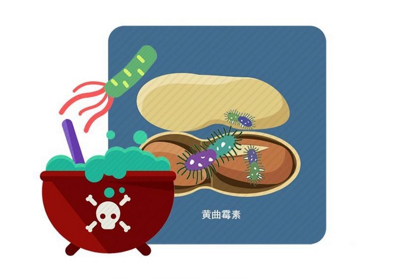 食物|隔夜菜会致病,不能吃?不一定,做好4步,剩菜可以放心吃