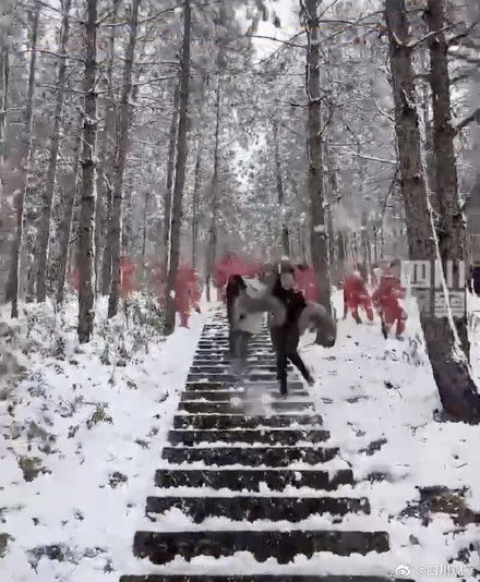 游客|消防员和游客森林中打雪仗 网友：消防员是真“打”！