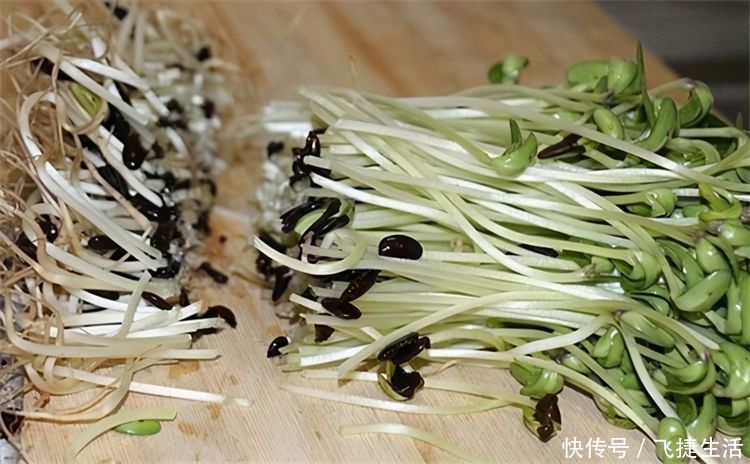 空心菜|对身体最好的3种食物,美容养生、延缓衰老,爱吃就赚了