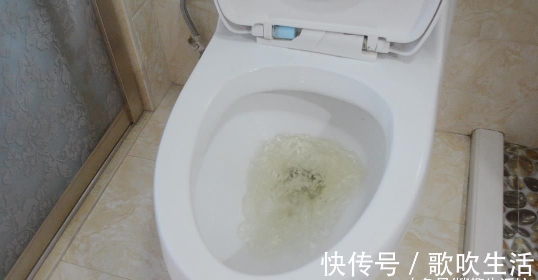 广藿香油|卫生间里放一瓶藿香正气水, 作用太棒了, 解决了很多家庭的烦恼