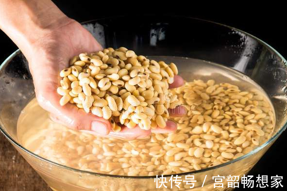 黄豆|一把黄豆一杯醋，教你自制豆腐，做法简单无添加，比买的更放心