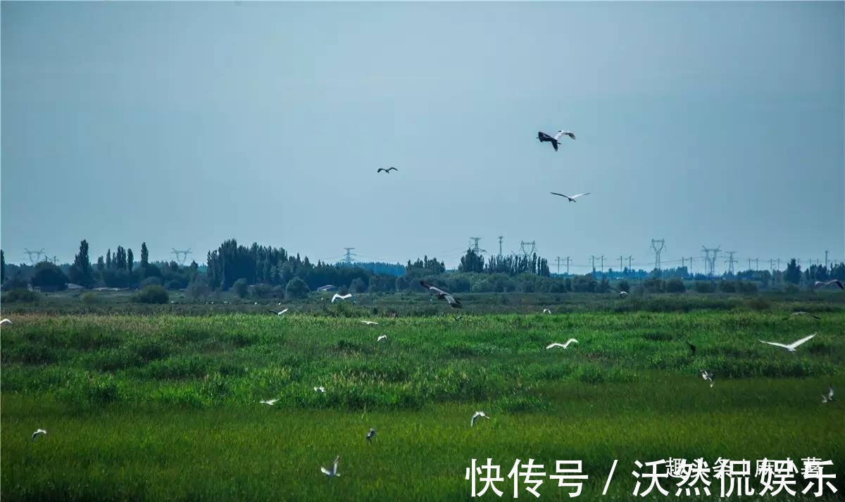 湖泊|新疆最神奇的湖泊，深藏在沙漠中，游客湖水从哪里来