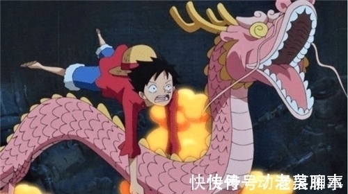 大和|海贼王1020话情报:大和是日本狼,尾田钦定山治为“海贼王双翼”