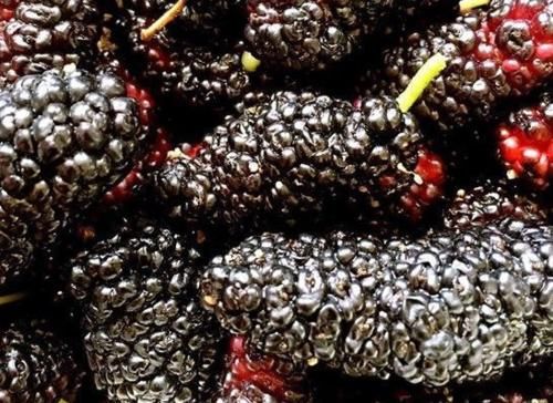 女性|女性想要身体好，秋季牢记多吃3种食物，美容养颜，延缓衰老