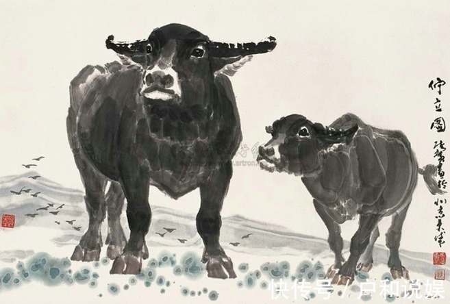 牛年|生肖牛不同季节出生的属牛人，命运有何不同哪个命最好