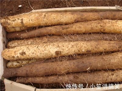 降血糖|红薯、山药、土豆，糖尿病患者吃升血糖还是降血糖？要抽空看看