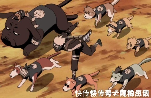 通灵兽|火影忍者:谁一次性召唤的通灵兽最多,蛞蝓该怎么算?