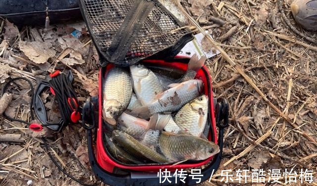 传统|深冬想要钓好鱼,千万别迷信台钓商品饵,传统虫饵才是王者!