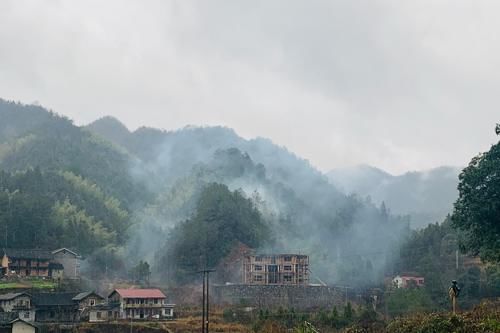  农村|专家说“农村土灶”有污染，我反对