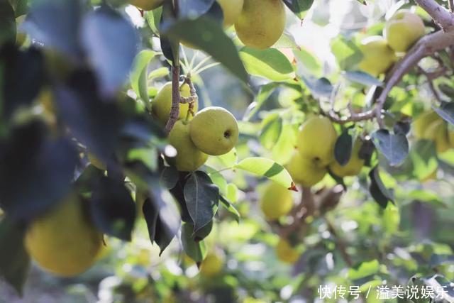 中年|苏州女子探秘南疆巴州:这是一处色彩的世界,超出你的想象