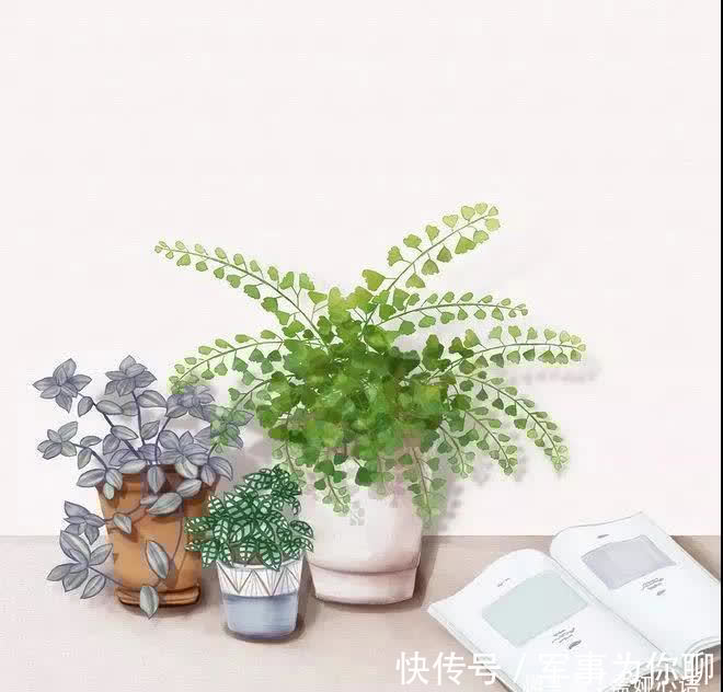 |【盖娅心语】噎死人的20个段子,治愈了所有不开心!