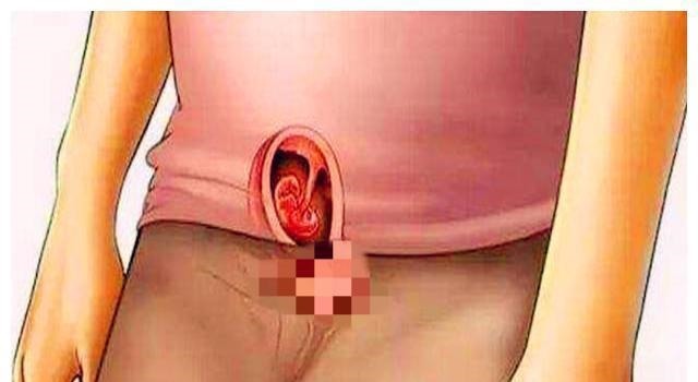 暴涨期|胎儿在宫内是如何发育成型的?十张图读懂胎儿发育过程,都该看看