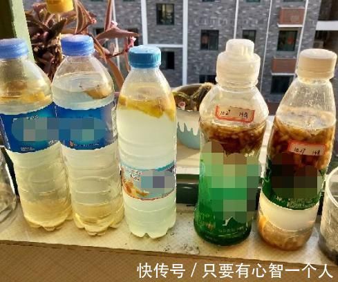 自制肥料难不难？有着20年经验的养花人：懂“这2样”就够了