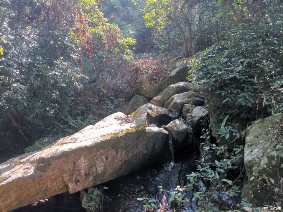 年初四爬阳台山