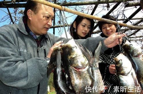 绳子|南方农村的'弓鱼术'，能让鱼离水几天不死，是如何做到的呢