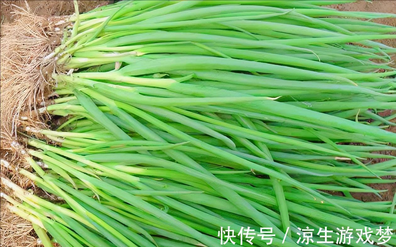 9种蔬菜根别扔掉,15天变盆景,吃不完就留着欣赏