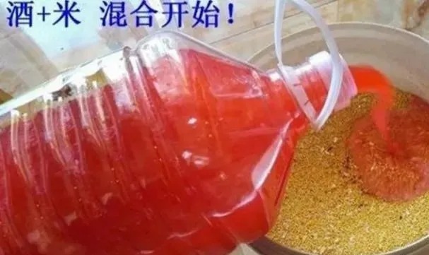 钓鲫鱼时,别费钱买饵了,常做3种饵窝,让你渔获倍增!