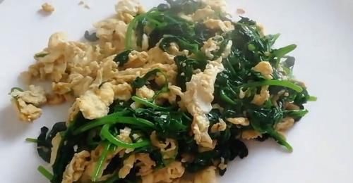 这种野菜农村用来喂猪，加上鸡蛋炒着吃太美味，城里人想吃吃不到