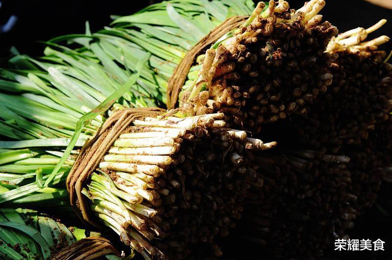 买韭菜时,到底是买细叶还是宽叶,记住这口诀,别再瞎买了