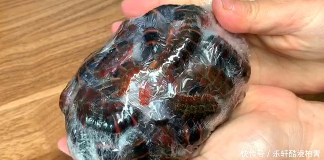 手软|夏天,碰到此肉别手软,一次性买30斤,放冰箱冻起来,特省事!