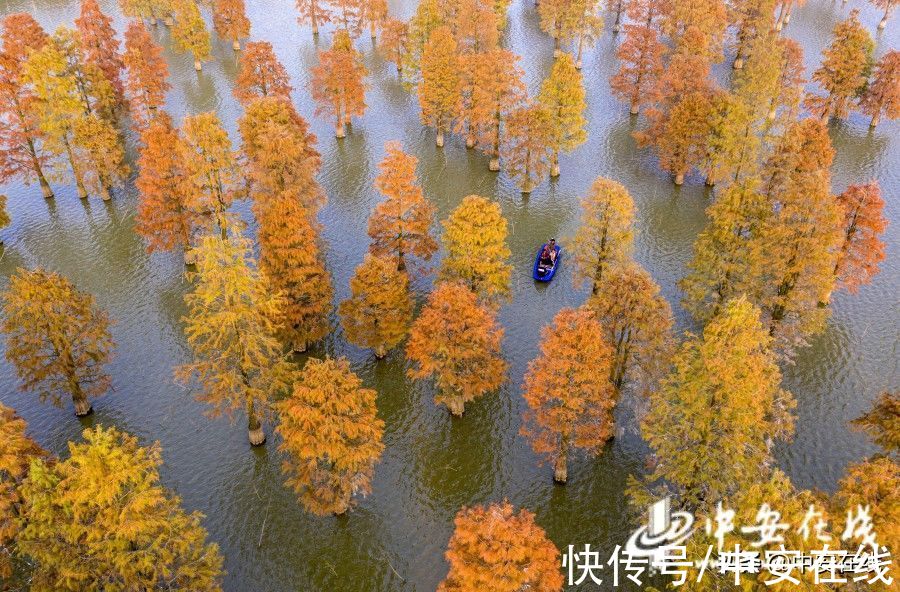 合肥|美丽安徽：胜日寻芳景 皖山皖水情