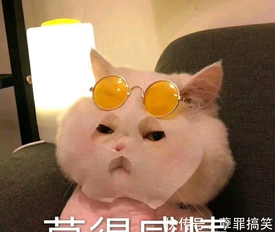 期待哇！《沒(méi)談過(guò)戀愛(ài)的我》官宣，首檔戀愛(ài)零經(jīng)歷約會(huì)真人秀