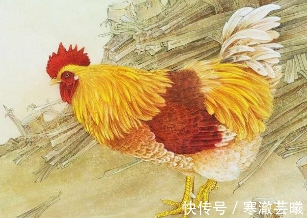 财运|年底3大生肖财运高涨,事业大显身手,苦难转变成富裕