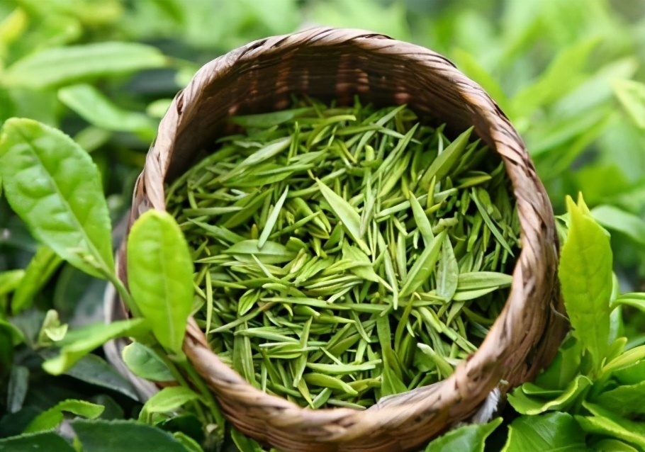 绿茶绿茶|常喝绿茶能预防糖尿病医生提醒这5种情况，要避免