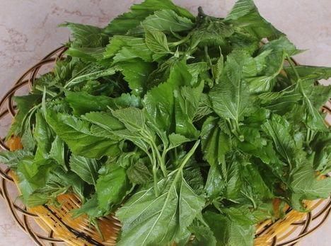 春天适合养肝,多吃几种食物,抗菌消炎,清肝明目,缓解衰老