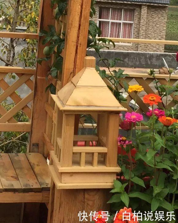 女婿在楼顶养多肉,村里人都跑来参观,丈母娘高兴坏了!