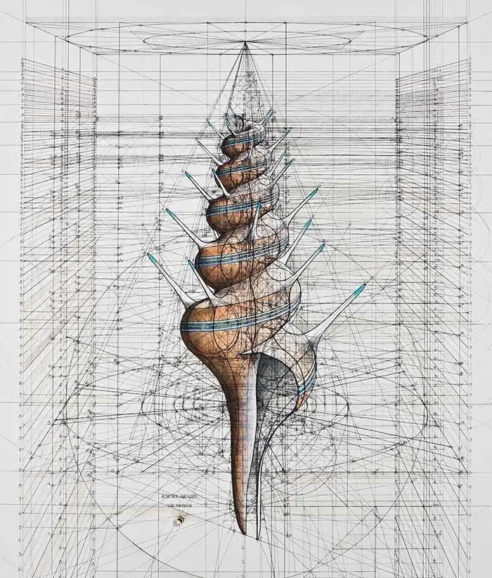 黄金比例!理工男花40年时间,用圆规画1000张画,黄金比例的拥护者