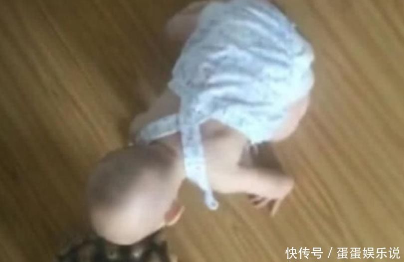 乌龟|小宝宝耍懒不愿爬,妈妈买了只乌龟回家后,宝宝的懒病却被治好了