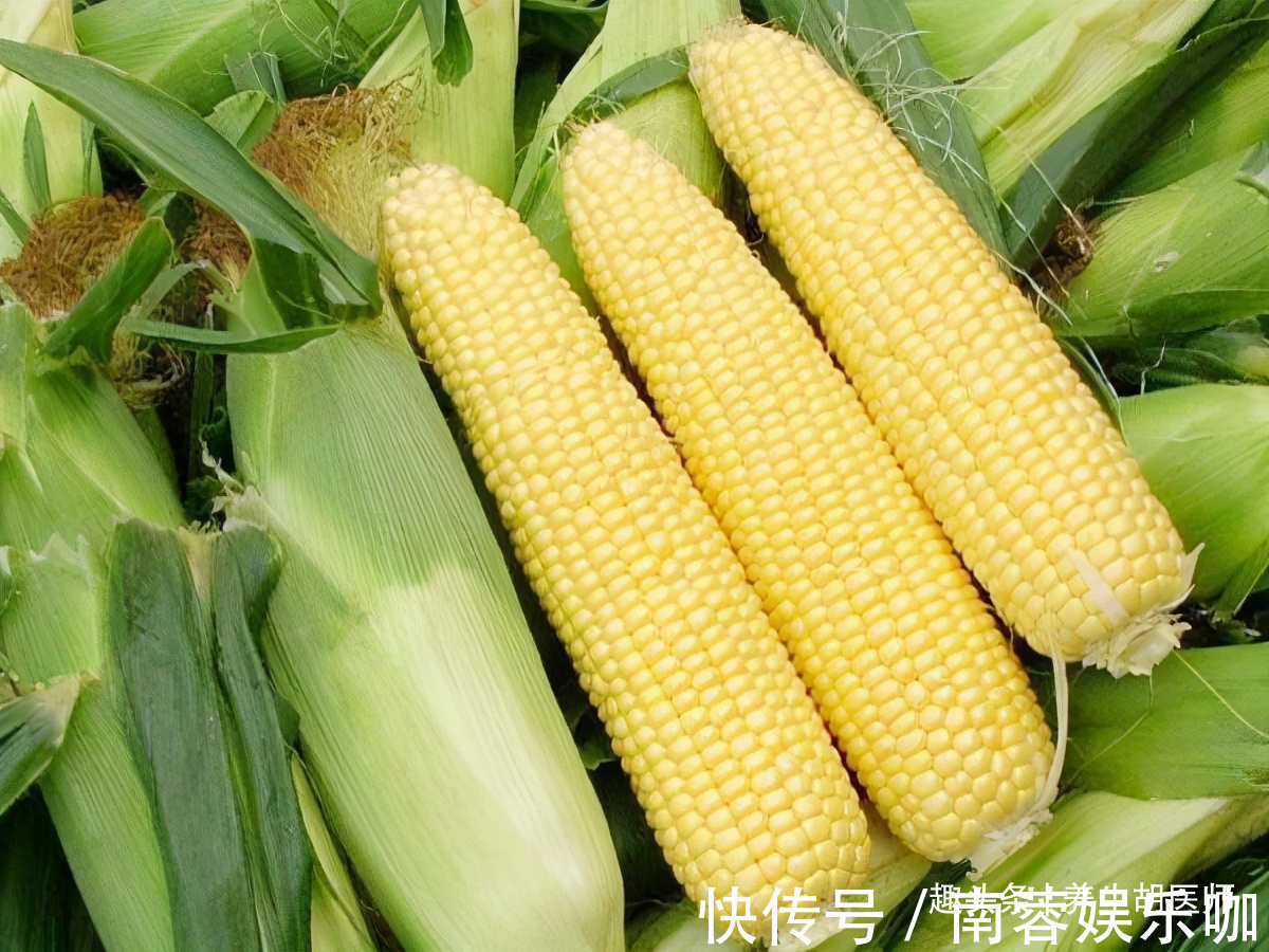 桑葚|女性要排毒,离不开3种食物,补水护肤,排毒抗衰,清除体内毒素