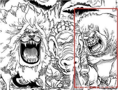 战斗力超强|海贼王中战斗力超强的几种动物,还有一个击败过索隆!