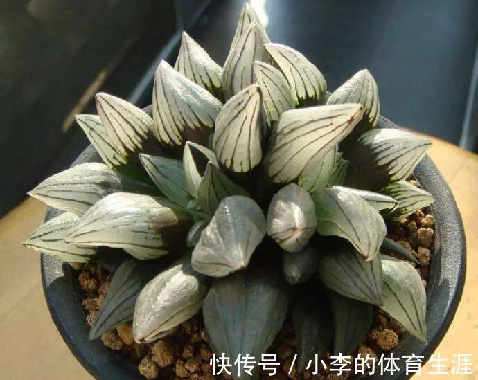 要想成为一名合格的肉友，你还需要知道这些黑话