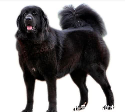 雷人$网络小说5个雷人桥段:网友:作者都没有常识的吗?太好笑了