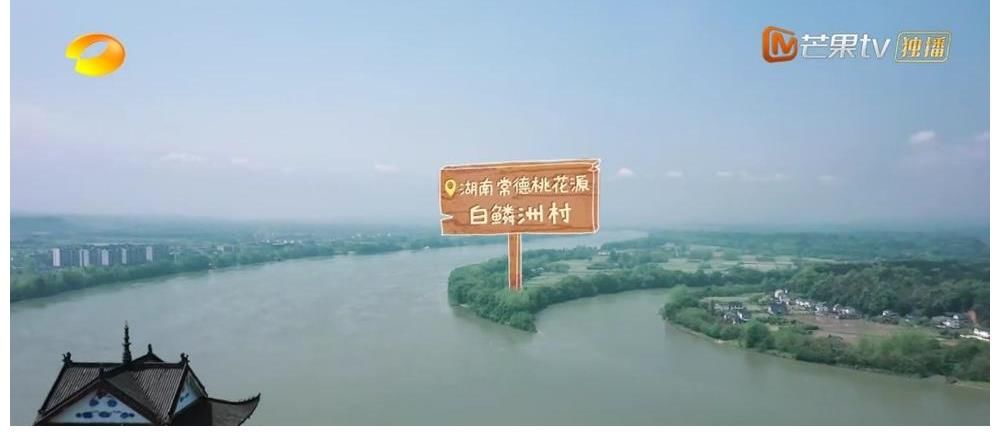 蘑菇|《向往5》官方親自下場官宣，最終收官時間點確定，觀眾：不夠看