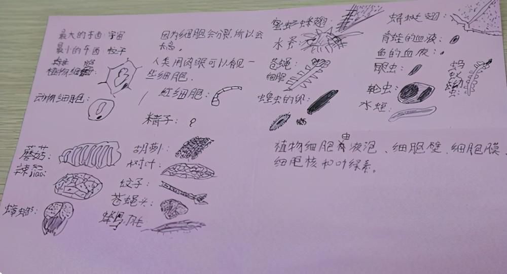 学霸和学渣同时上交课堂笔记，看完对比图，老师心情像坐过山车