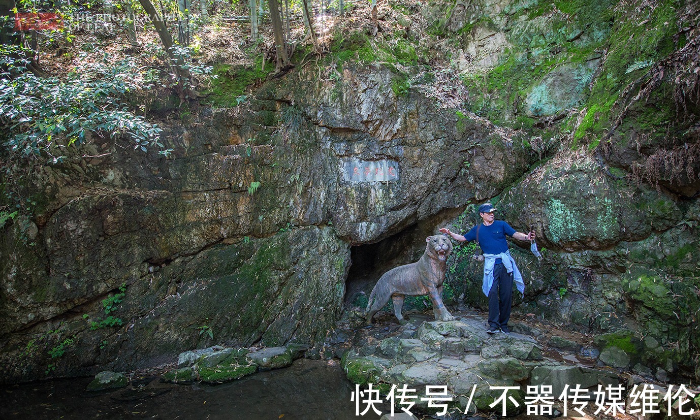 杭州|杭州虎跑一只瘦小的石老虎，成网红拍照点，一切源于曾经的记忆