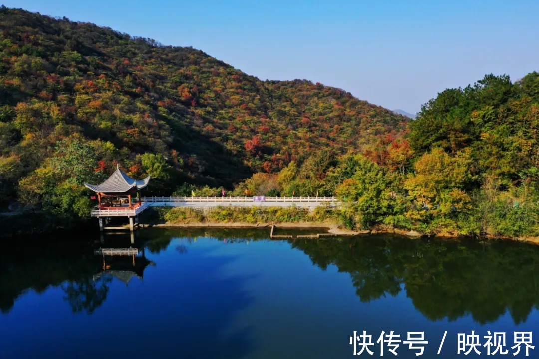 桃花寨景区|免票！持续一个月！秋叶落满山，遇见最美的桃花寨