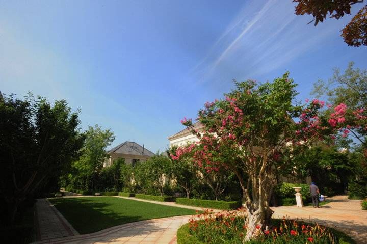 野在|忙在城市，野在“山上”