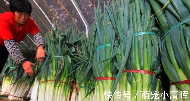 羊肉论斤吃，大葱按捆卖，白菜卡车装，带你瞧瞧啥才叫南北差异