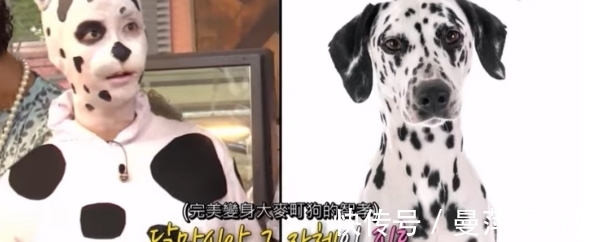 梁世灿|《RM》11周年全家福曝光!宋智孝超狂变身“斑点狗”,众人全看傻