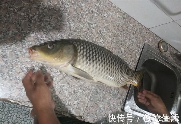 鱼竿|钓中大鱼后有3忌,把握不当则容易脱钩跑鱼,钓鱼人请记牢