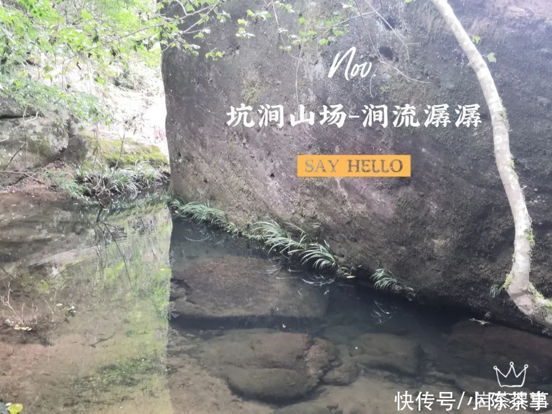 到手的岩茶,是马上喝?还是先放放再喝?一篇文章告诉你正确答案